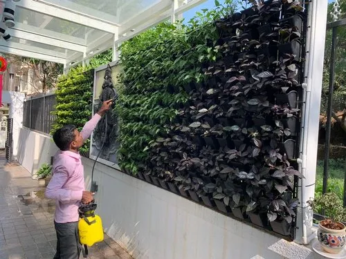 Plant maintenance in PECHS