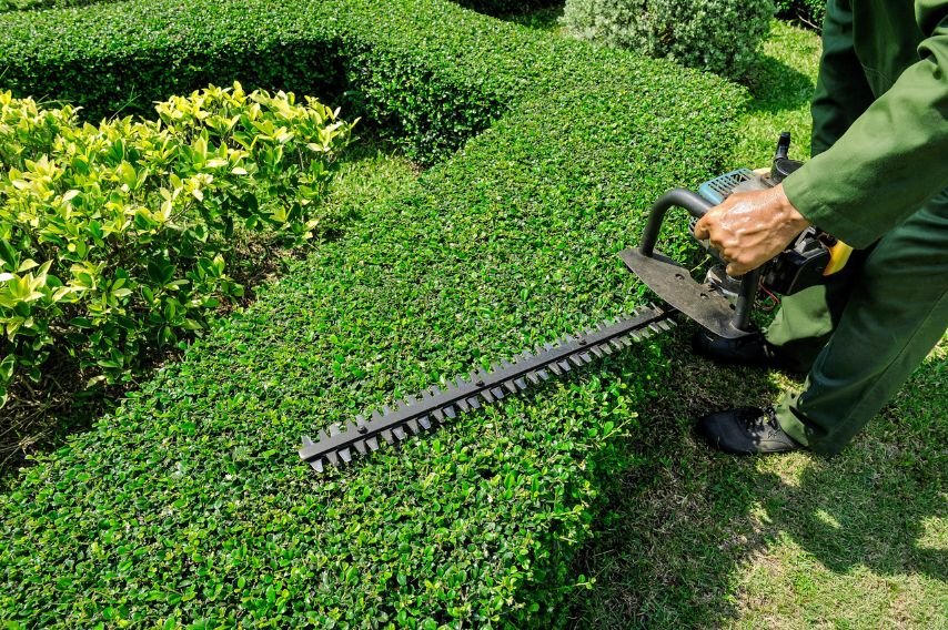 Lawn Maintenance Karachi